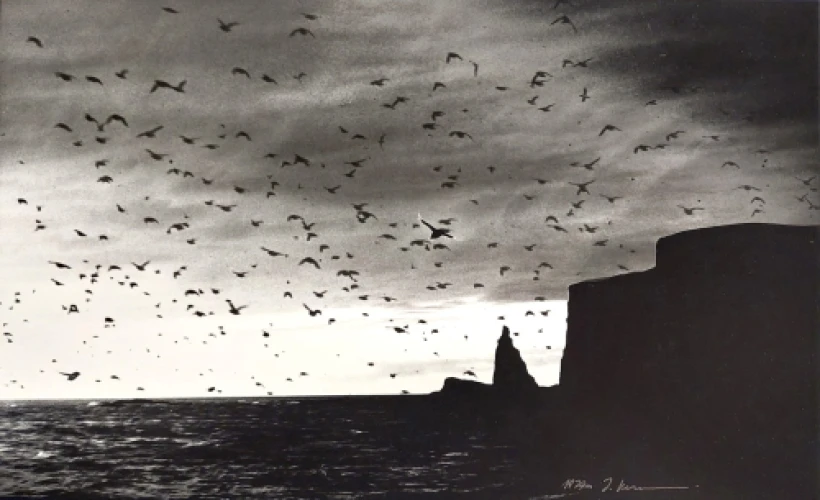 Princo Oransko Didžioji sala