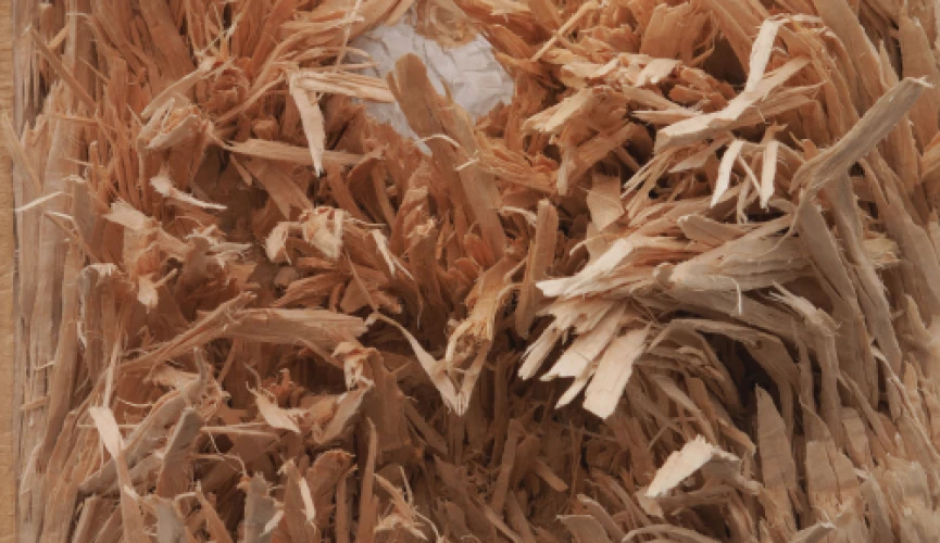 Edvardas Racevičius