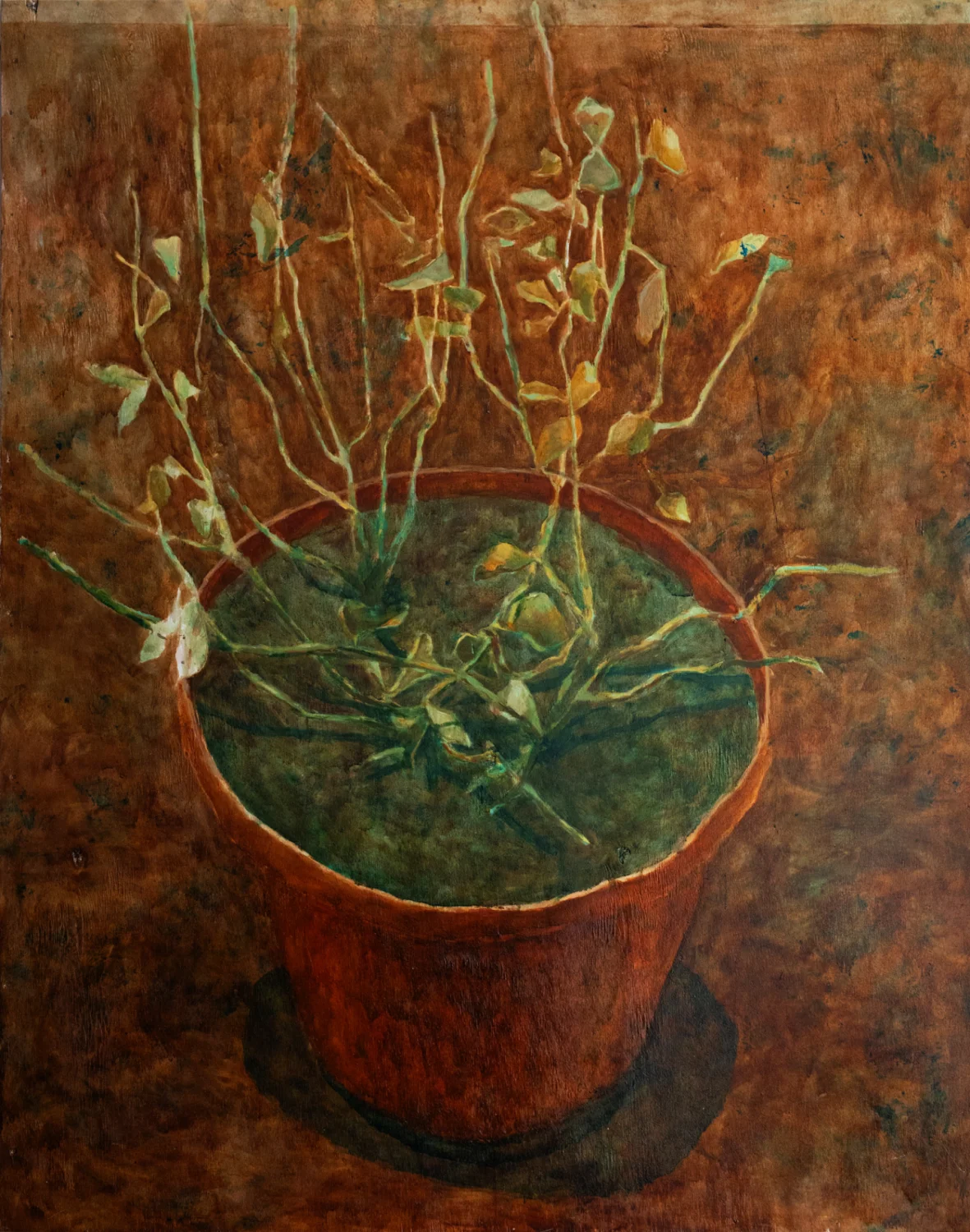Studio Plant – Dovilė Bagdonaitė