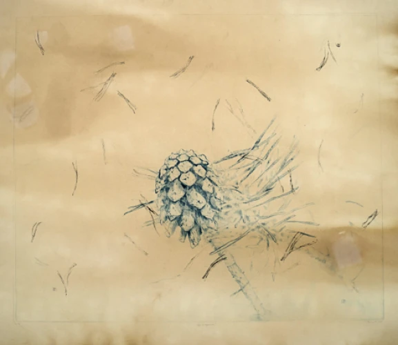 Toma Šlimaitė Artwork