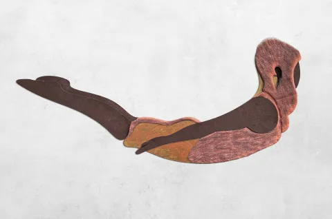 Shalabhasana – Gabrielius Mackevičius