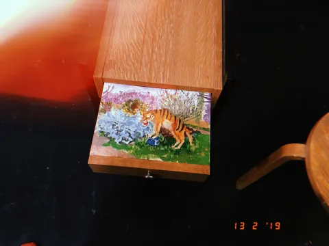 Tiger. From “Paris, You Are Wild” series – Dovilė Bagdonaitė