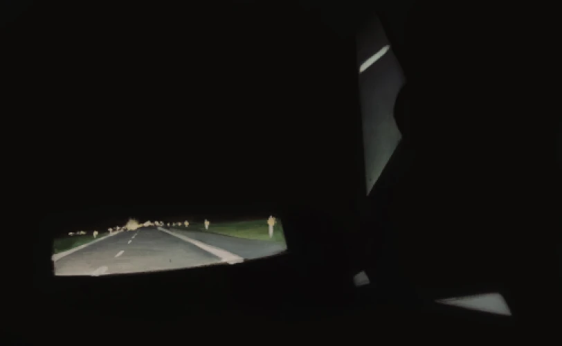 Mantas Daujotas Artwork