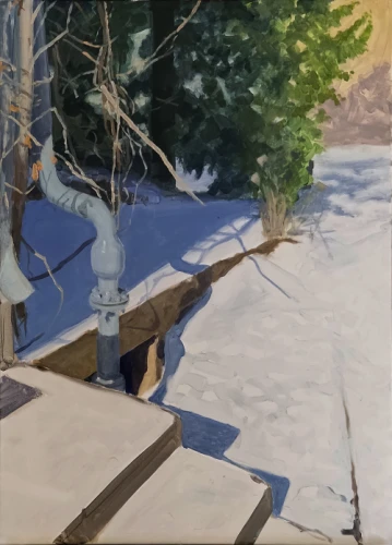 Mantas Daujotas Artwork